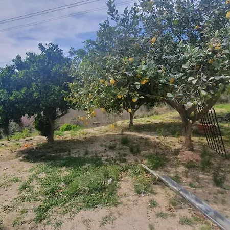 Cheerful 2-bedroom With Private Pool